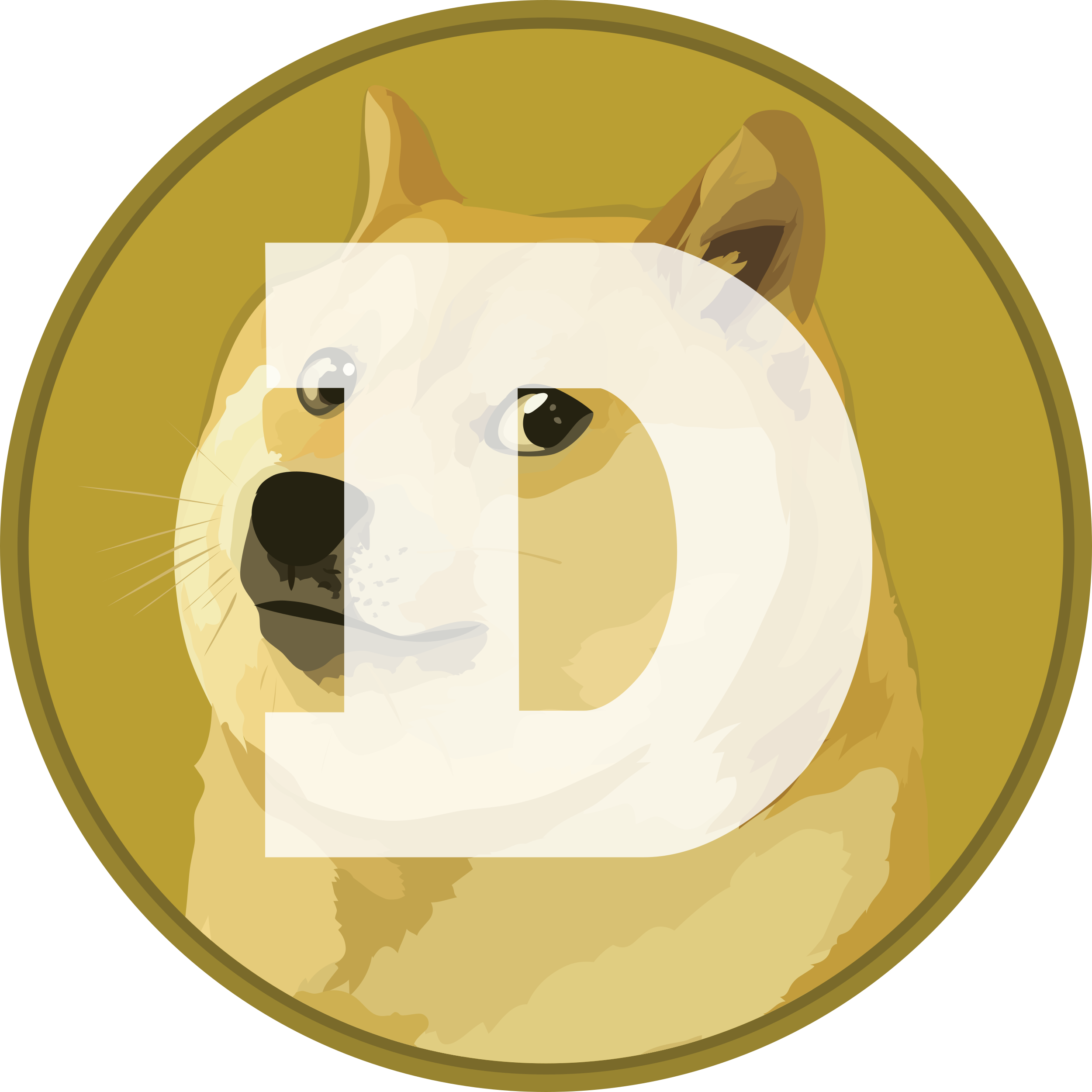 Doge